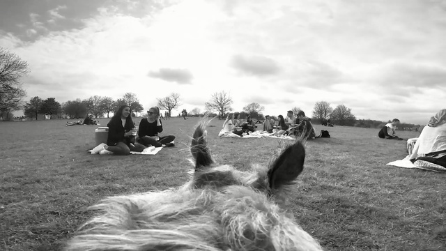 Video Reference: white, black, photograph, black and white, sky, monochrome photography, photography, snapshot, tree, cloud