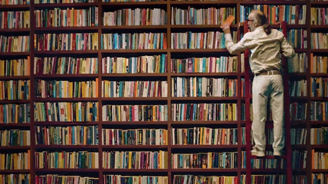 Video Reference: Bookcase, Shelving, Shelf, Library, Book, Publication, Furniture, Public library, Collection, Bookselling