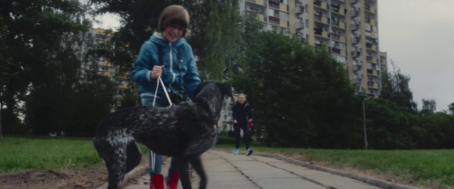 Video Reference: Dog, Mammal, Vertebrate, Dog breed, Canidae, Leash, Dog walking, Carnivore, Sporting Group, Obedience training