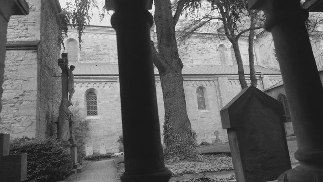 Video Reference: Black, Black-and-white, Monochrome, Tree, Monochrome photography, Architecture, Building, Photography, Arch, Column