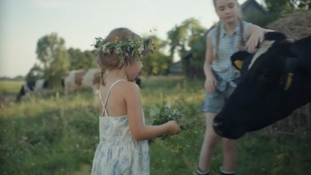 Video Reference: Photograph, Snapshot, Dress, Fun, Photography, Summer, Grass, Child, Interaction, Wedding