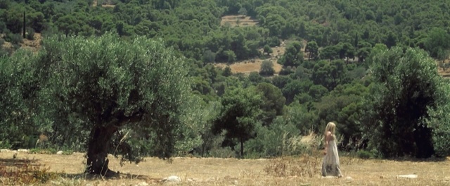 Video Reference: ecosystem, tree, vegetation, nature reserve, field, shrubland, rural area, pasture, biome, forest