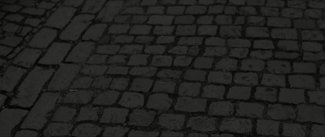 Video Reference: black, black and white, cobblestone, light, monochrome photography, road surface, monochrome, line, pattern, material, Person