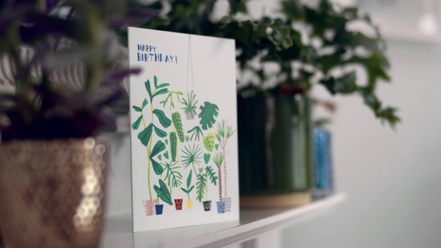 Video Reference: Green, Text, Leaf, Font, Tree, Design, Plant, Room, Flower, Graphic design