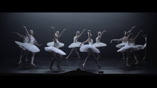 Video Reference: Choreography, Dancer, Entertainment, Dance, Performing arts, Ballet, Performance art, Performance, Athletic dance move, Event