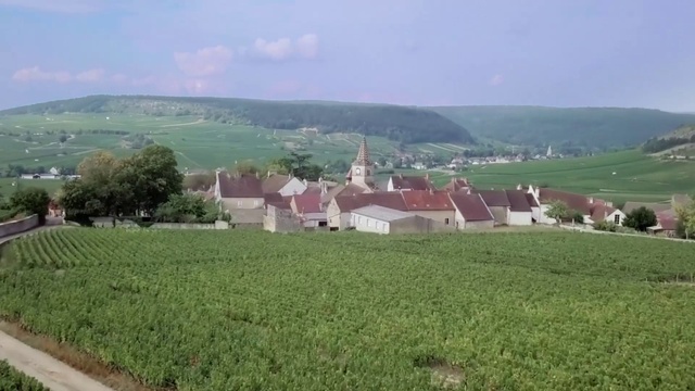 Video Reference: Land lot, Farm, Field, Rural area, Plain, Grassland, Hill station, Village, Hill, Pasture