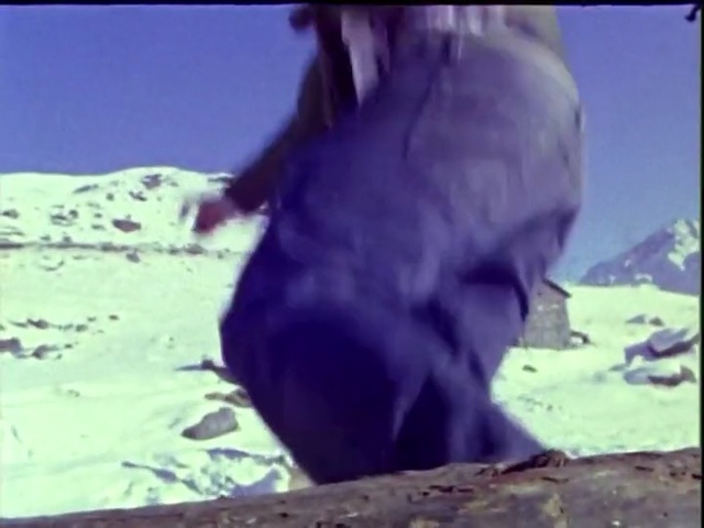 Video Reference: mammal, vertebrate, nose, fauna, mouth, geological phenomenon, primate, organism, sky, great ape