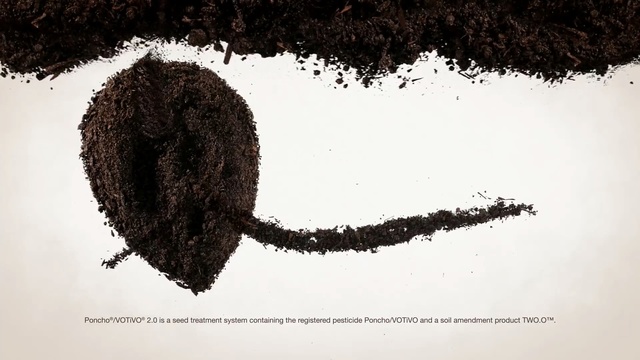 Video Reference: black and white, tree, font