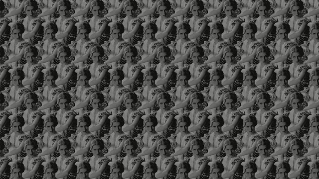 Video Reference: black, black and white, monochrome photography, photography, monochrome, pattern, material, grass, tree