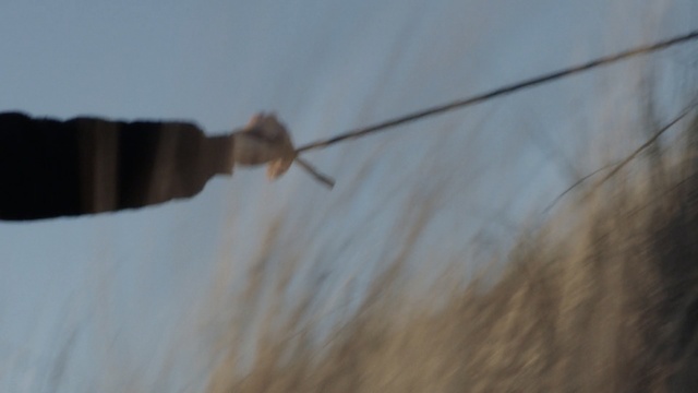 Video Reference: Eye, Line, Sky, Wire, Person