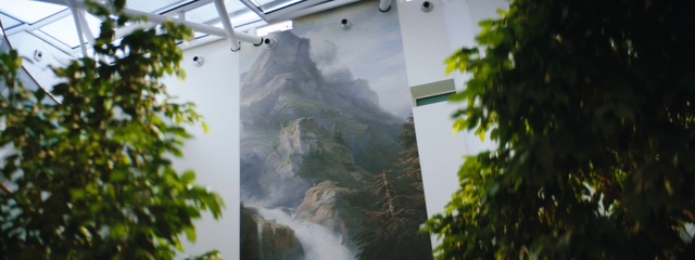 Video Reference: Nature, Vegetation, Water, Tree, Landscape, Mural, Plant, Hill station, Waterfall