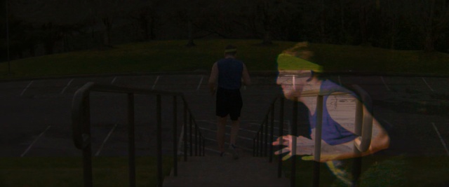 Video Reference: green, night, darkness, light, snapshot, atmosphere, morning, sky, tree, screenshot