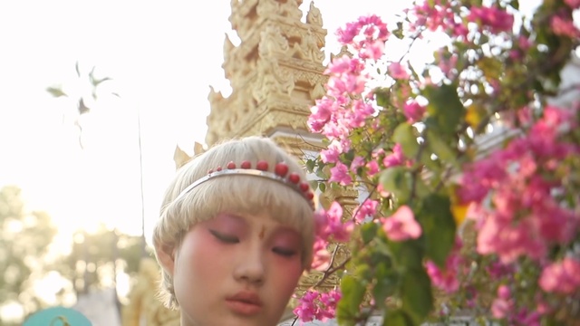Video Reference: flower, pink, plant, spring, flowering plant, petal, rose family, girl, tree, blossom, Person