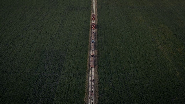 Video Reference: Green, Aerial photography, Grass, Tree, Photography, Plant, Plant stem