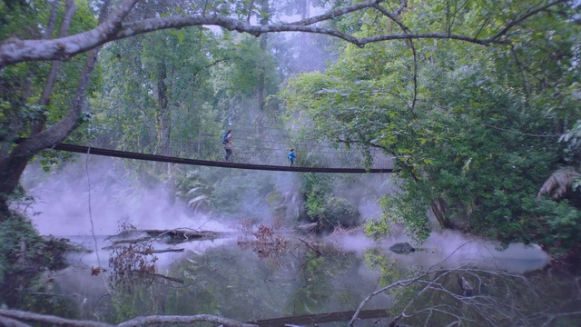 Video Reference: Nature, Atmospheric phenomenon, Nature reserve, Vegetation, Tree, Natural environment, Water, Biome, Jungle, Forest