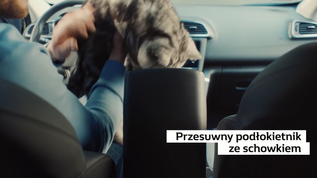 Video Reference: Vehicle door, Car seat, Driving, Canidae, Vehicle, Car, Sporting Group, Passenger, Non-Sporting Group, Car seat cover