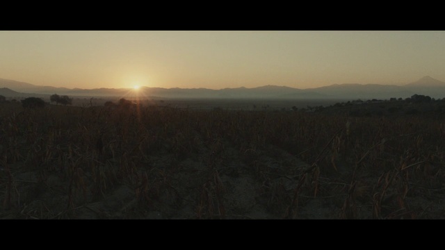 Video Reference: Sky, Horizon, Nature, Atmospheric phenomenon, Grassland, Plain, Natural environment, Morning, Savanna, Ecoregion