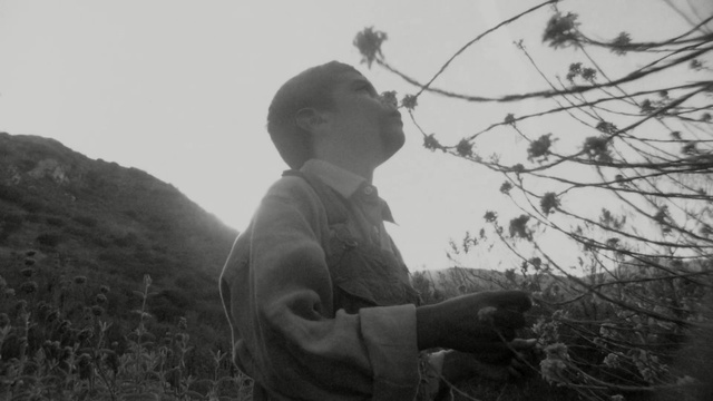 Video Reference: photograph, tree, black, black and white, nature, person, monochrome photography, woody plant, sky, photography