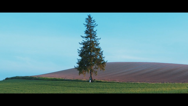 Video Reference: tree, sky, woody plant, ecosystem, field, hill, grassland, plain, rural area, atmosphere