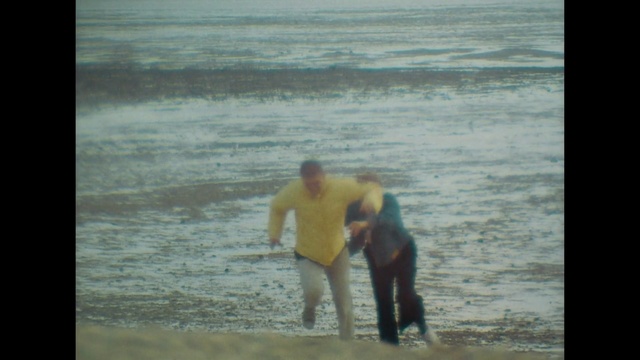 Video Reference: water, beach, body of water, sea, man, wave, fun, male, ocean, vacation, Person