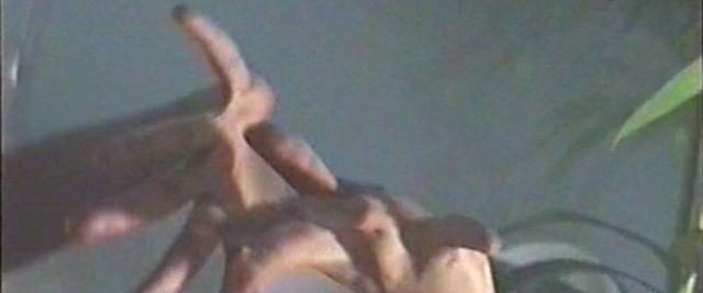 Video Reference: Finger, Hand, Male, Arm, Leg, Mouth, Thumb, Gesture