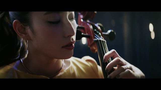 Video Reference: String instrument, Violin, Violin family, String instrument, Music, Musical instrument, Bowed string instrument, Violist, Viola, Fiddle