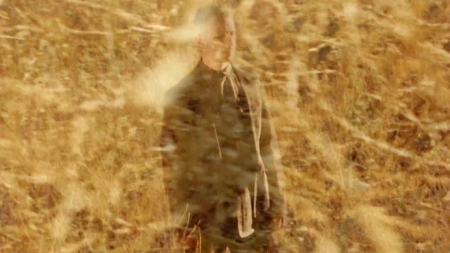 Video Reference: Straw, Grass family, Wildlife, Organism, Grass, Plant, Soil, Hay, Fur