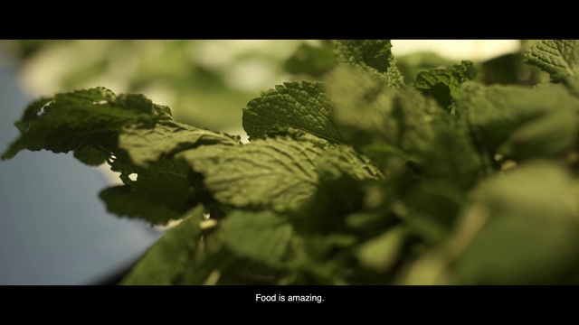 Video Reference: Leaf, Nature, Plant, Flower, Water, Macro photography, Herb, Photography, Peppermint
