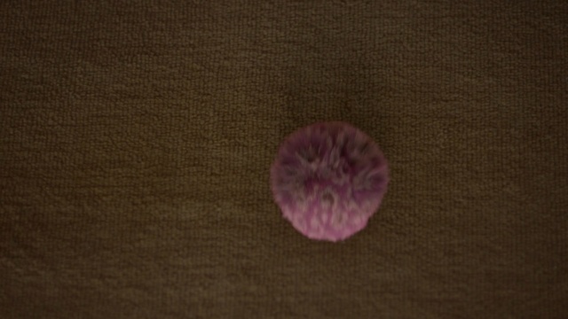 Video Reference: pink, purple, close up, photography, macro photography, circle, magenta, textile, petal, computer wallpaper