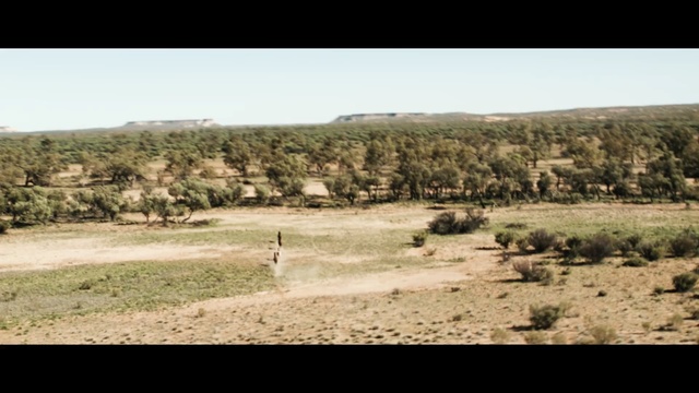 Video Reference: ecosystem, wilderness, shrubland, vegetation, soil, ecoregion, savanna, steppe, land lot, landscape