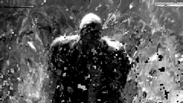 Video Reference: Black-and-white, Monochrome photography, Monochrome, Tree, Font, Photography, Fictional character, Style, Winter storm, Crowd
