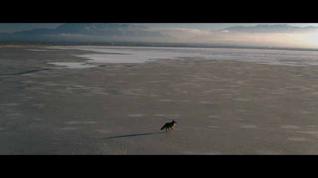 Video Reference: sky, sea, horizon, shore, atmosphere, ocean, water, cloud, wind wave, arctic