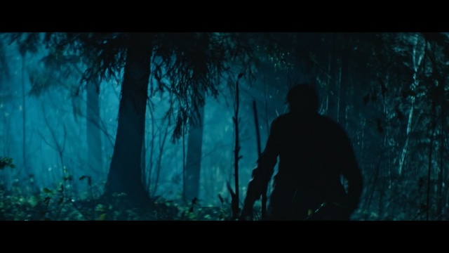 Video Reference: blue, nature, black, darkness, ecosystem, forest, atmosphere, underwater, screenshot, light, Person