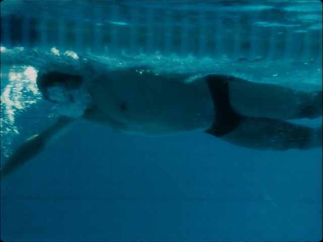 Video Reference: water, underwater, aqua, swimming, swimmer, freestyle swimming, organism, marine biology, sea, marine mammal