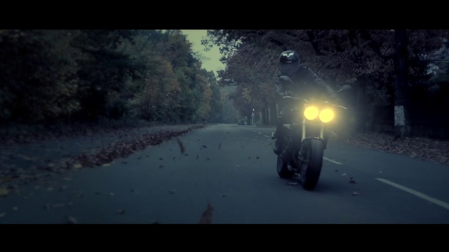 Video Reference: Atmospheric phenomenon, Light, Mode of transport, Atmosphere, Morning, Darkness, Tree, Asphalt, Road, Photography