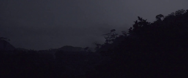 Video Reference: Sky, Black, Atmospheric phenomenon, Cloud, Darkness, Atmosphere, Night, Tree, Evening, Dusk