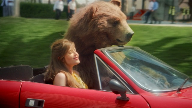 Video Reference: Vehicle, Dog, Car, Canidae, Vehicle door, Sporting Group, Automotive window part, Carnivore, Companion dog
