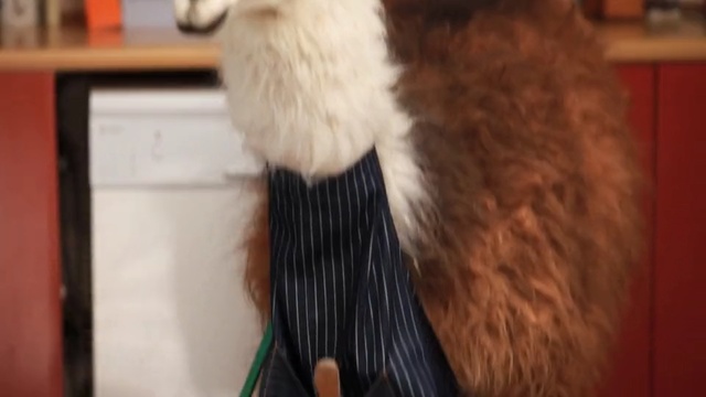 Video Reference: fur, textile, wood, material, snout, flooring, fur clothing