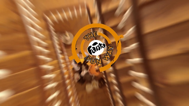 Video Reference: yellow, macro photography, membrane winged insect