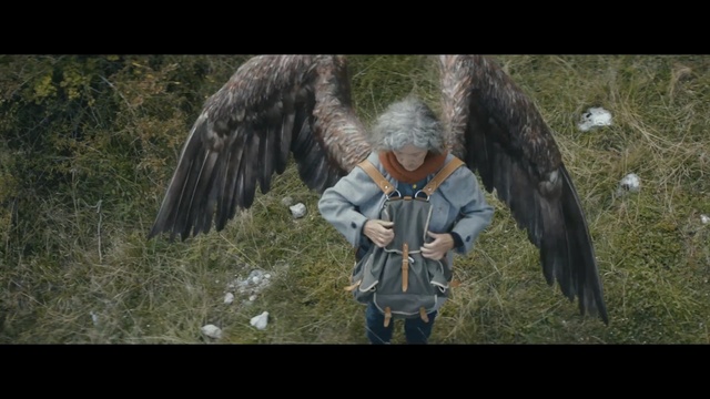 Video Reference: grass, screenshot, beak, wing, tree, bird of prey, darkness, wildlife