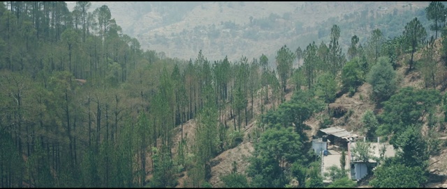 Video Reference: Hill station, Nature, Vegetation, Biome, Atmospheric phenomenon, Tropical and subtropical coniferous forests, Forest, Tree, Nature reserve, Mountain