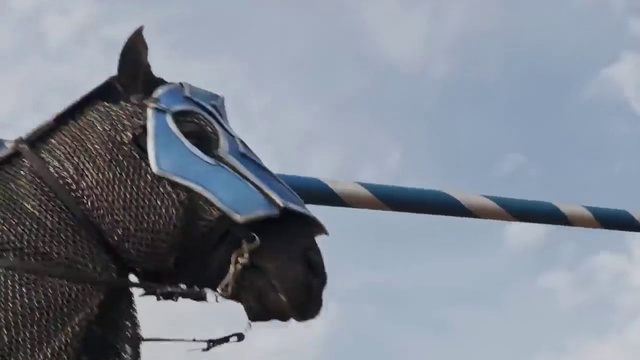 Video Reference: Snout, Working animal, Sky, Horse, Stallion