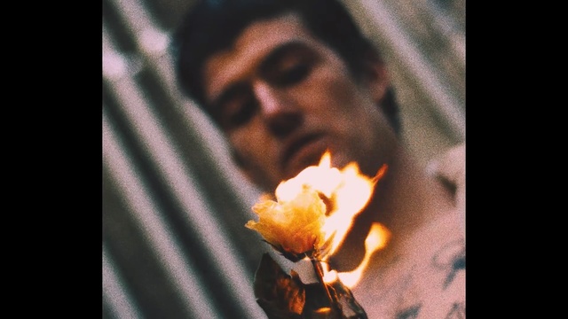 Video Reference: Yellow, Orange, Heat, Mouth, Hand, Flower, Flame, Petal, Photography, Fire