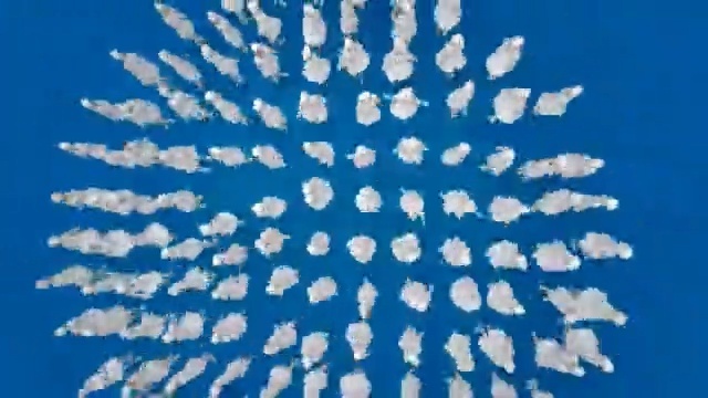 Video Reference: blue, text, sky, font, symmetry, atmosphere, organism, biome, line, computer wallpaper