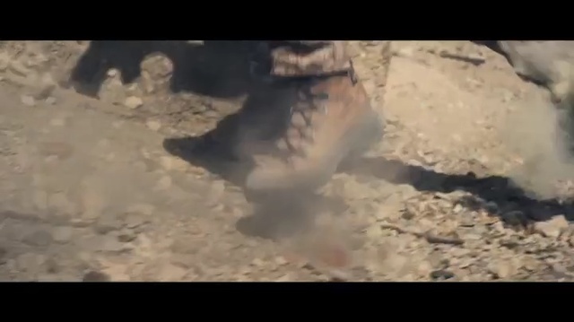 Video Reference: Soil, Turtle, Geological phenomenon, Geology, Sand, Rock, Organism, Reptile, Sea turtle, Tortoise