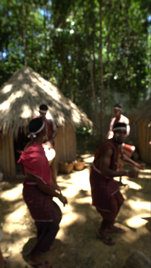 Video Reference: Community, Tree, Adaptation