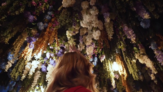 Video Reference: Nature, Purple, Violet, Tree, Branch, Flower, Wisteria, Plant, Spring, Formation