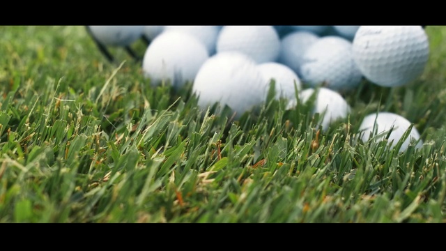Video Reference: Plant, Sports equipment, Golf ball, Ball, Golf, Grass, Natural landscape, Terrestrial plant, Golf equipment, People in nature