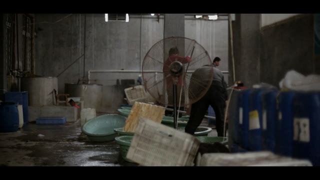 Video Reference: Photography, Person