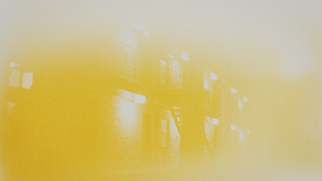 Video Reference: Yellow, Orange, Sky, Light, Amber, Water, Morning, Line, Sunlight, Photography